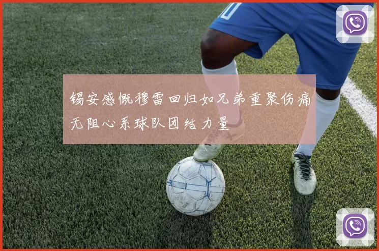 锡安感慨穆雷回归如兄弟重聚伤痛无阻心系球队团结力量