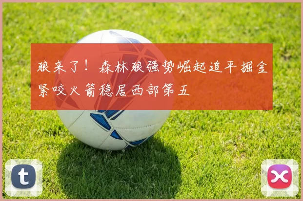 狼来了！森林狼强势崛起追平掘金紧咬火箭稳居西部第五