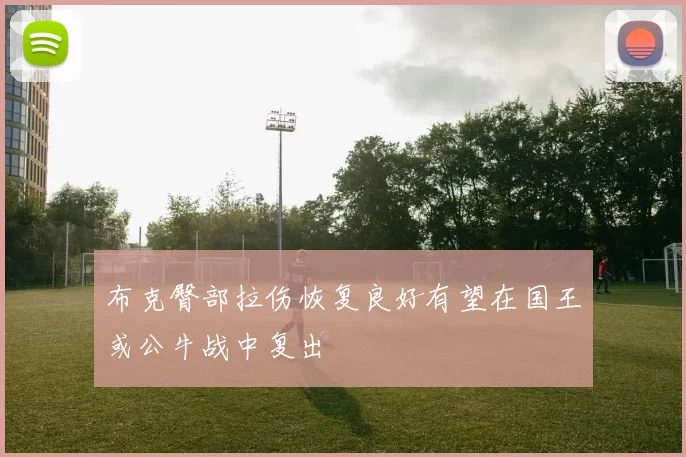 布克臀部拉伤恢复良好有望在国王或公牛战中复出